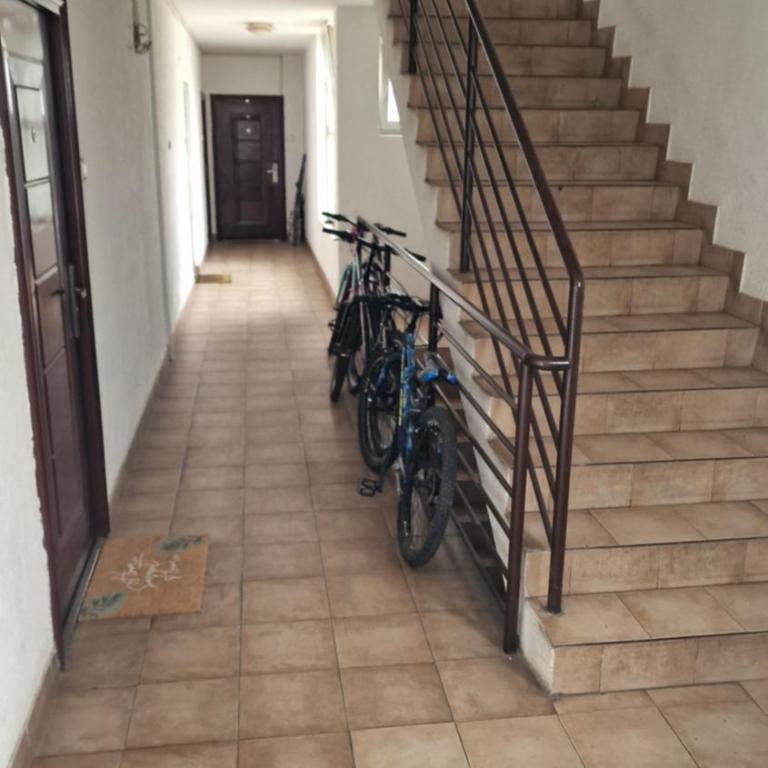 iDoli Stan - One-Bedroom Apartment - 17