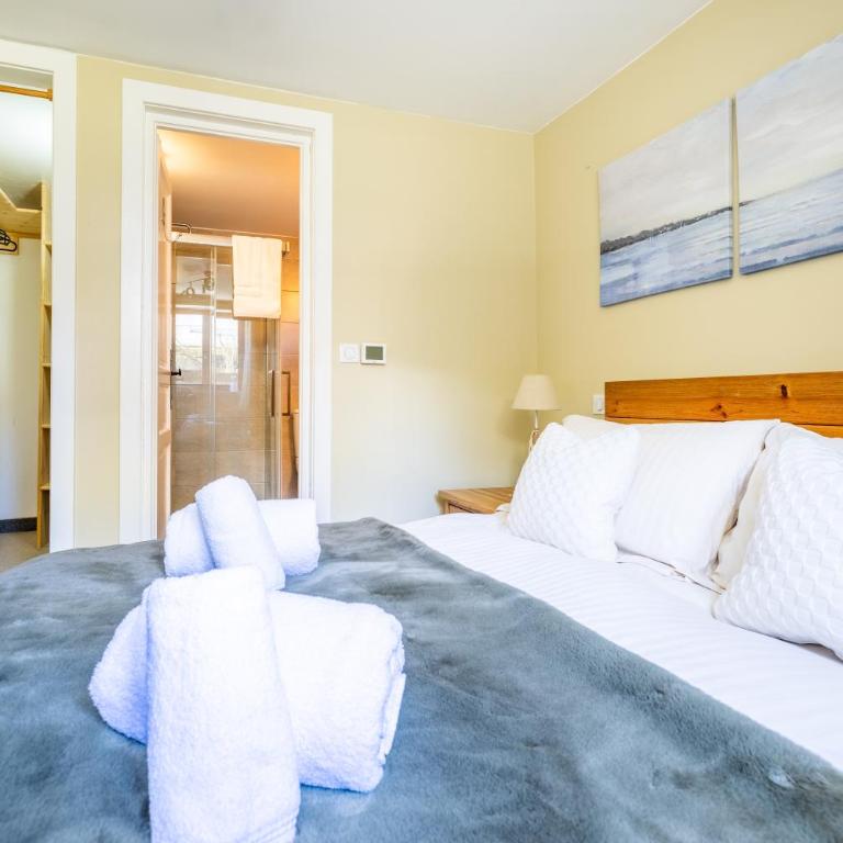 Spacieux 6pax 3ch Vue MtBlanc Central Parking - Three-Bedroom Apartment with Mountain View - 10