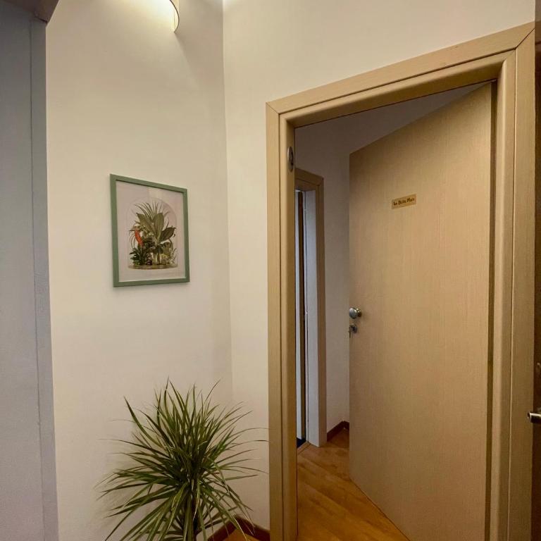 La bella Mati - Appartamento con 1 Camera da Letto - 2