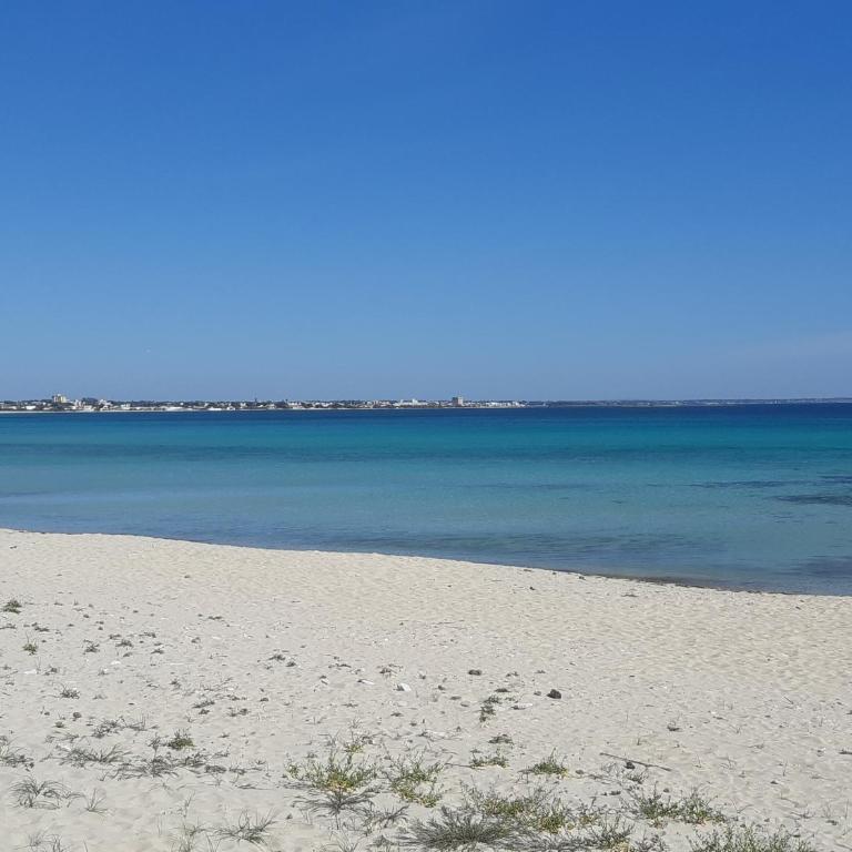 Mare Cristallino - Appartement - Rez-de-Chaussée - 1