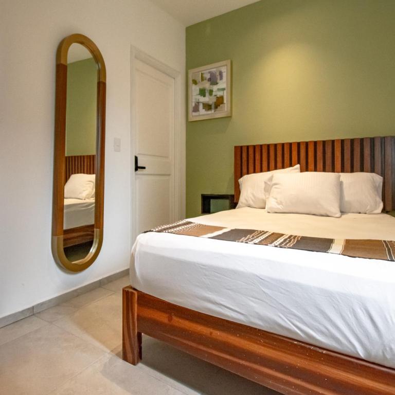 Collection O Hotel Lavanda Anzures - Estándar - 1