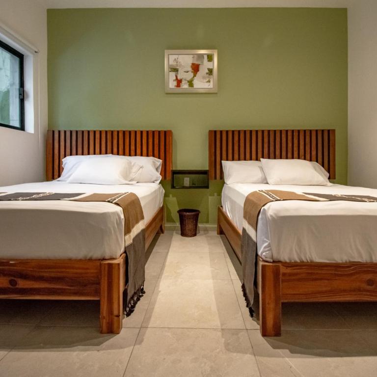 Collection O Hotel Lavanda Anzures - Habitación Estándar - 2 camas - 6