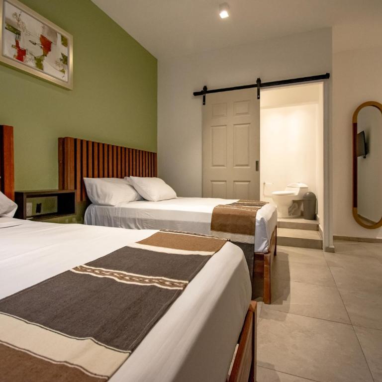 Collection O Hotel Lavanda Anzures - Habitación Estándar - 2 camas - 4