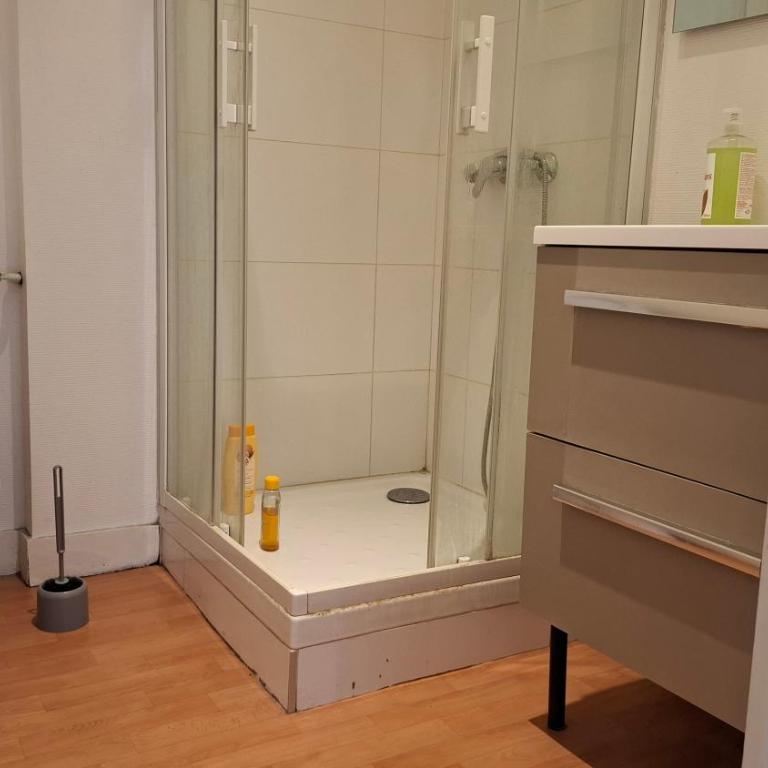 Logement Haussmannien Lumineux Bordeaux Centre - Appartement 1 Chambre - 9