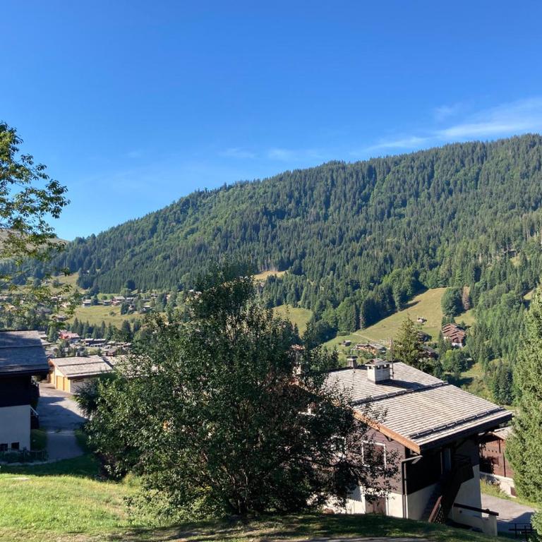 Appartement 3 pieces, proche des pistes, wifi et parking gratuit - Appartamento - 11