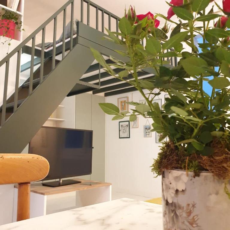 Bel appartement - Jardin des plantes - Appartement - 3