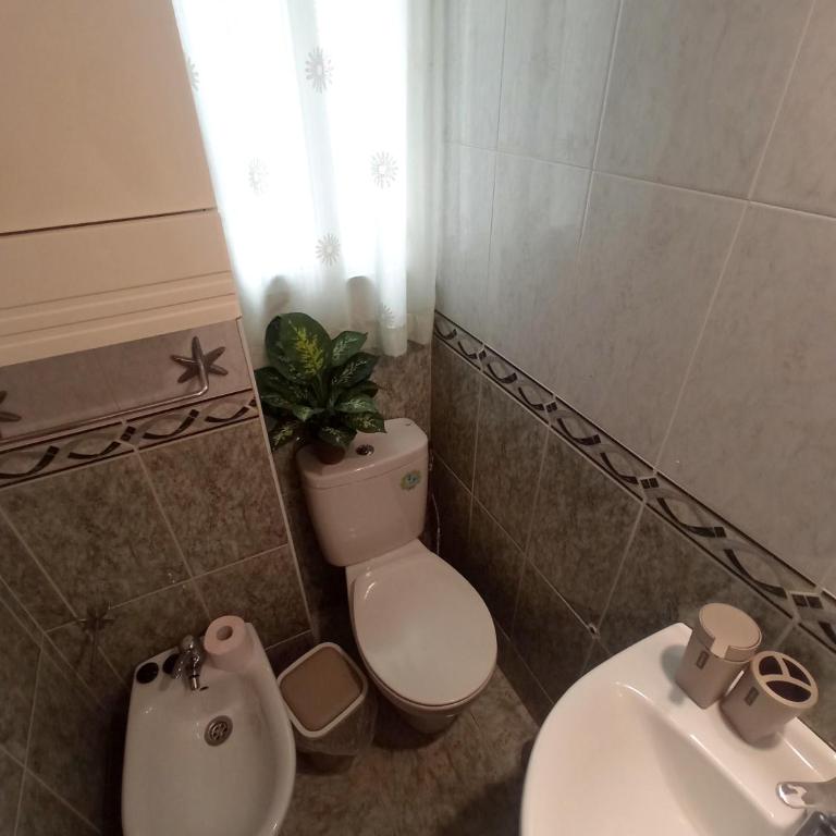 Apartamento HZ Califa - Apartamento de 3 dormitorios - 17