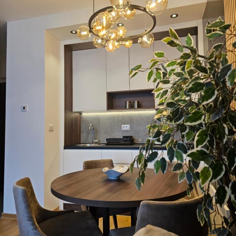 Luxury SiM Apartman Titova vila Zlatibor - One-Bedroom Apartment - 10