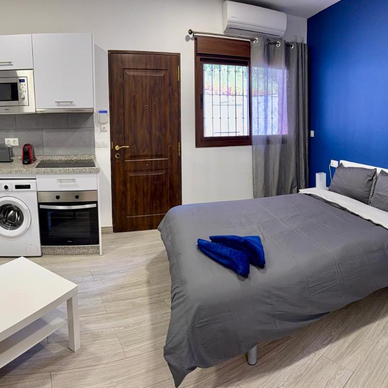Apartamento con cocina Americana en Marbella Elvira - Estudio Estándar - 6