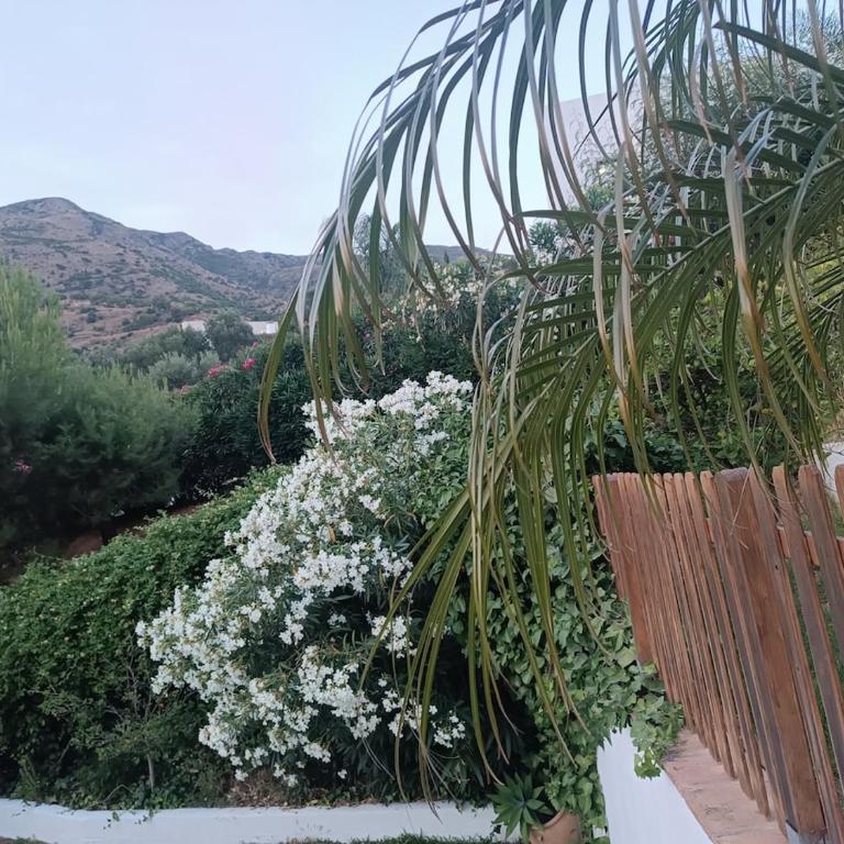 LUMINIAN Big Modern Villa with outstanding views sea & countryside - Villa - 35