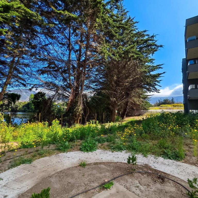 Departamento para 4 personas en Lomas de Puyai - Apartamento - 33