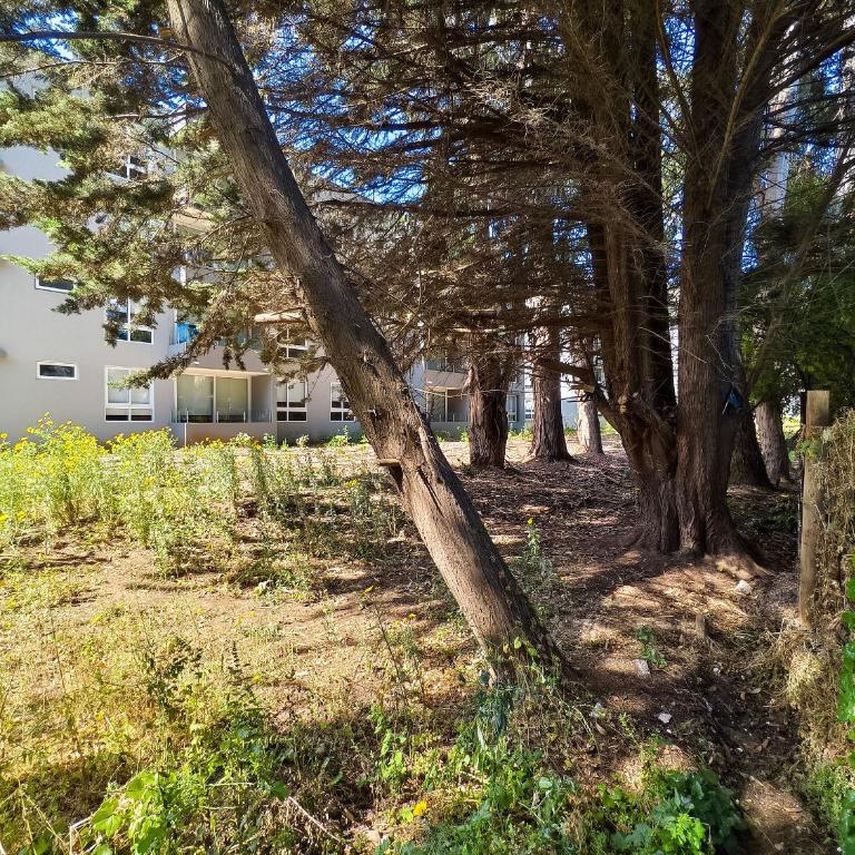 Departamento para 4 personas en Lomas de Puyai - Apartamento - 37