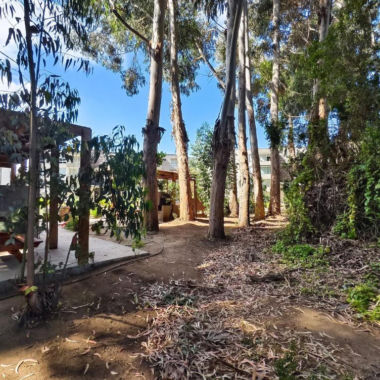 Departamento para 4 personas en Lomas de Puyai - Apartamento - 46