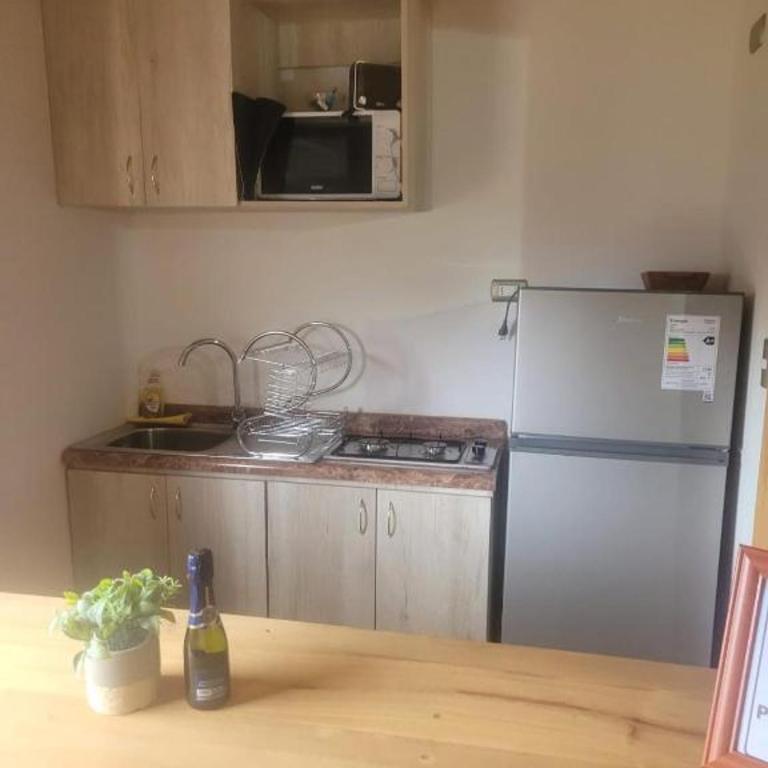 Espectacular alojamiento entre Osorno y Valdivia - Apartamento de 2 dormitorios - 6