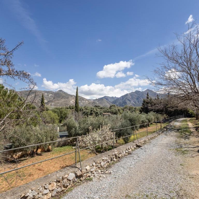Finca rural en Dílar con piscina privada - Four-Bedroom House - 29