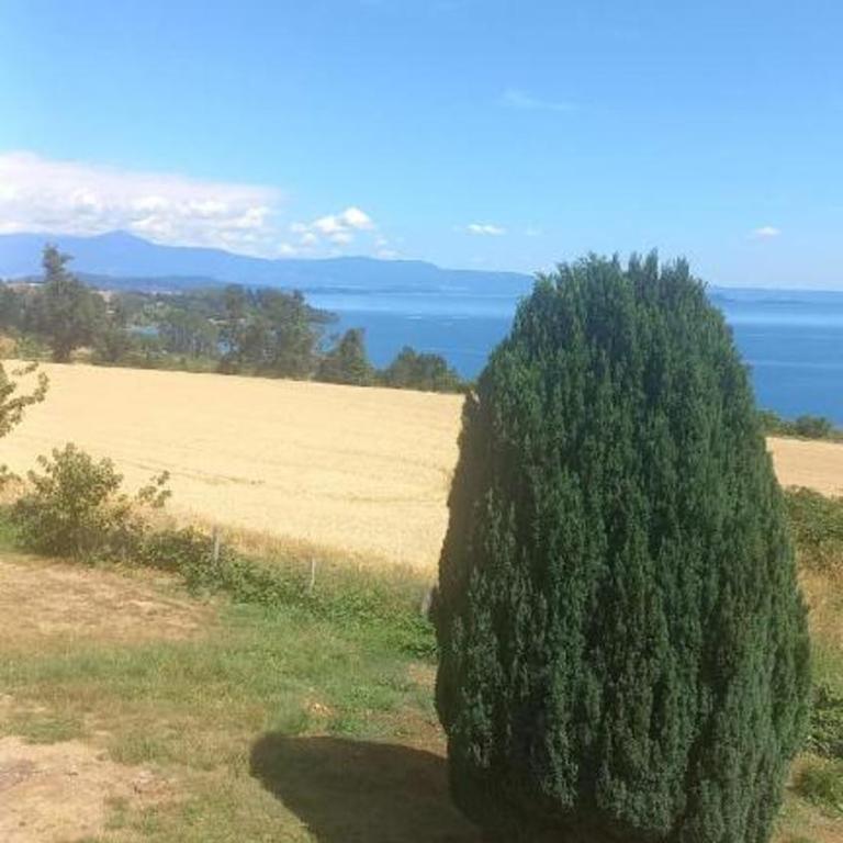 Grandioso alojamiento en el Sur cercano a Osorno y Valdivia - Apartamento - 1
