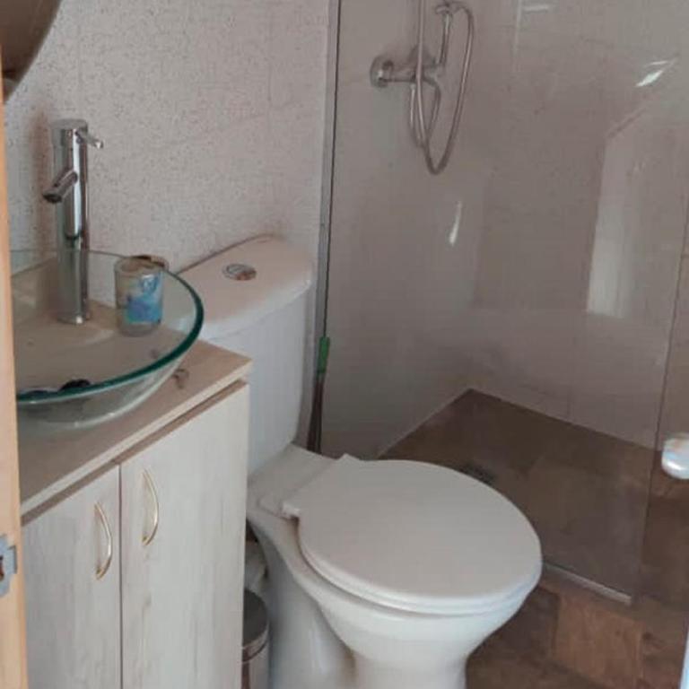Grandioso alojamiento en el Sur cercano a Osorno y Valdivia - Apartment - 35