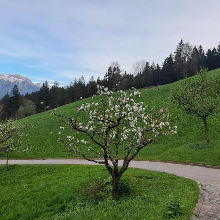Pension Scheuerbichl - Doppelzimmer mit Balkon - 6
