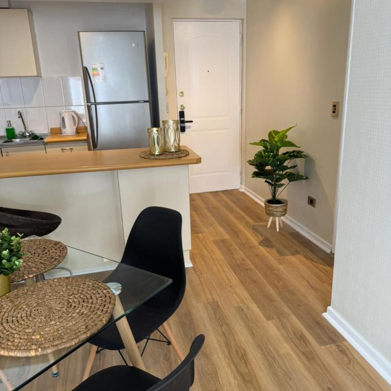 Amplio-pasos metro FREE parking-Santiago Centro - Apartamento de 1 dormitorio - 13