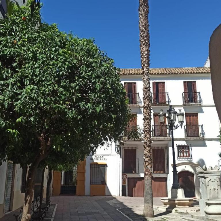 Apartamento Centro Rincón de San Miguel - Apartamento de 1 dormitorio - 18