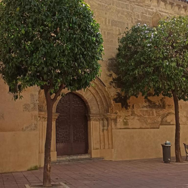 Apartamento Centro Rincón de San Miguel - Apartamento de 1 dormitorio - 21