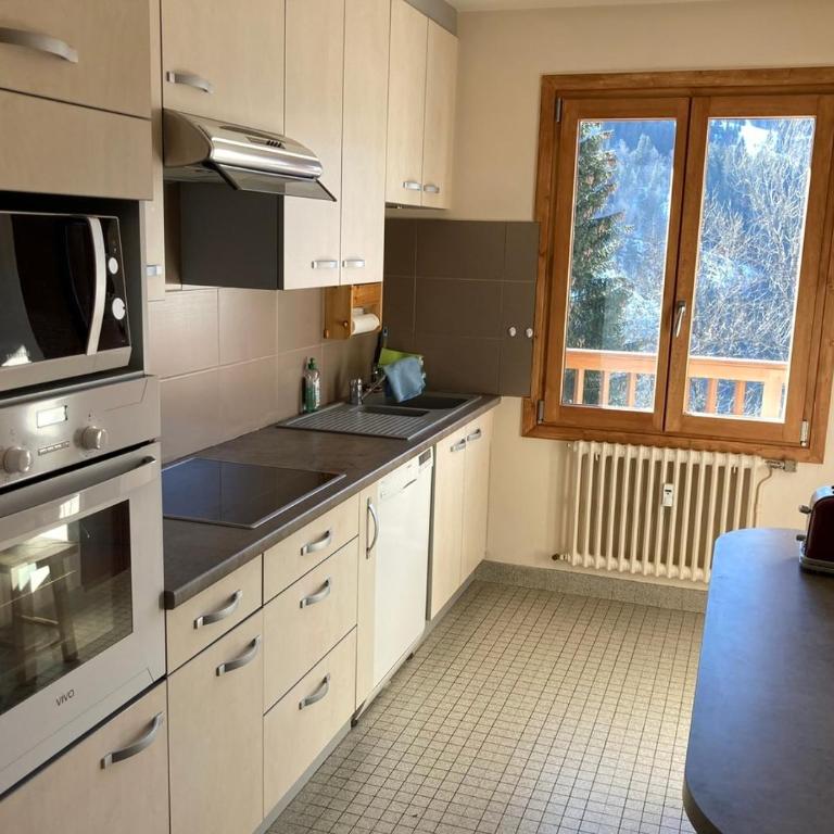 Appartement 3 pieces, proche des pistes, wifi et parking gratuit - Appartamento - 4