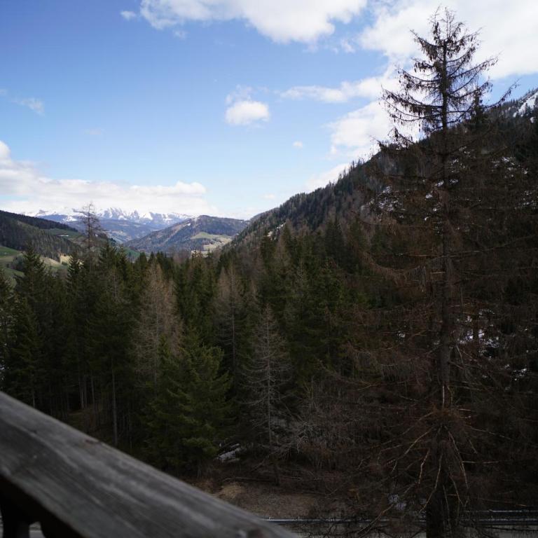 Gstattlhof Mountain Farmhouse - Appartamento con 1 Camera da Letto - 3