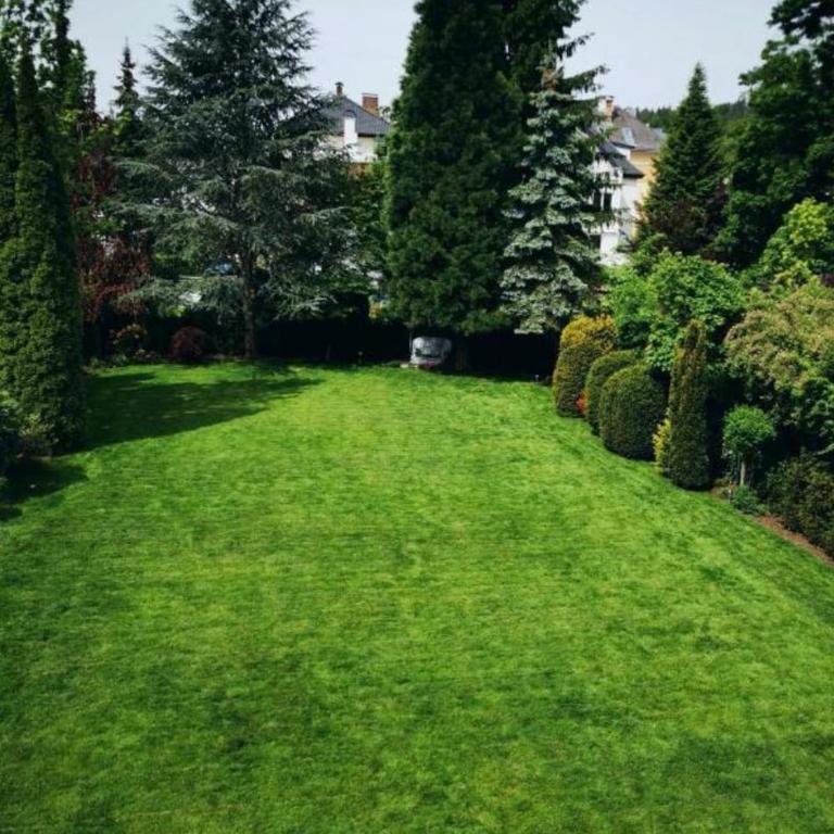 Villa Kreuzbergl - Einzelzimmer - Einzelzimmer mit Gartenblick - 7