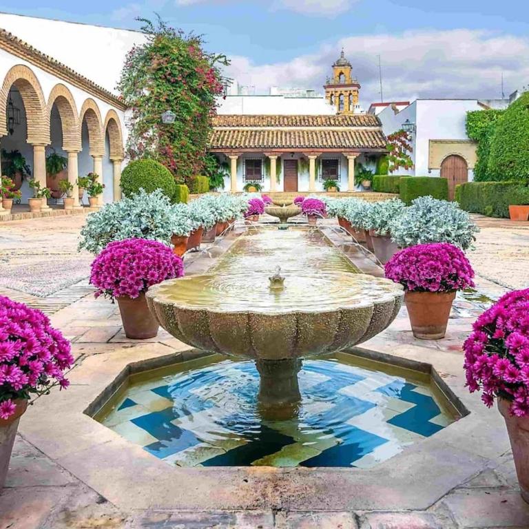 Premium! Los Jardines de Orive 2 - Apartamento Superior de 1 dormitorio con balcón - 22