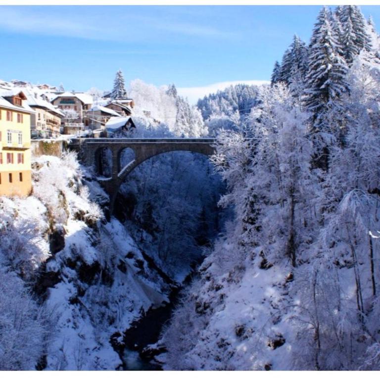 Montagnes & ski Flumet cente Balcon vue rivière - Appartement 2 Chambres - Vue sur Rivière - 17