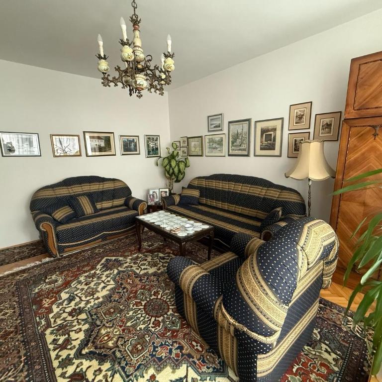 Grandma's City Center Apartment - Apartman sa 1 Spavaćom Sobom - 3