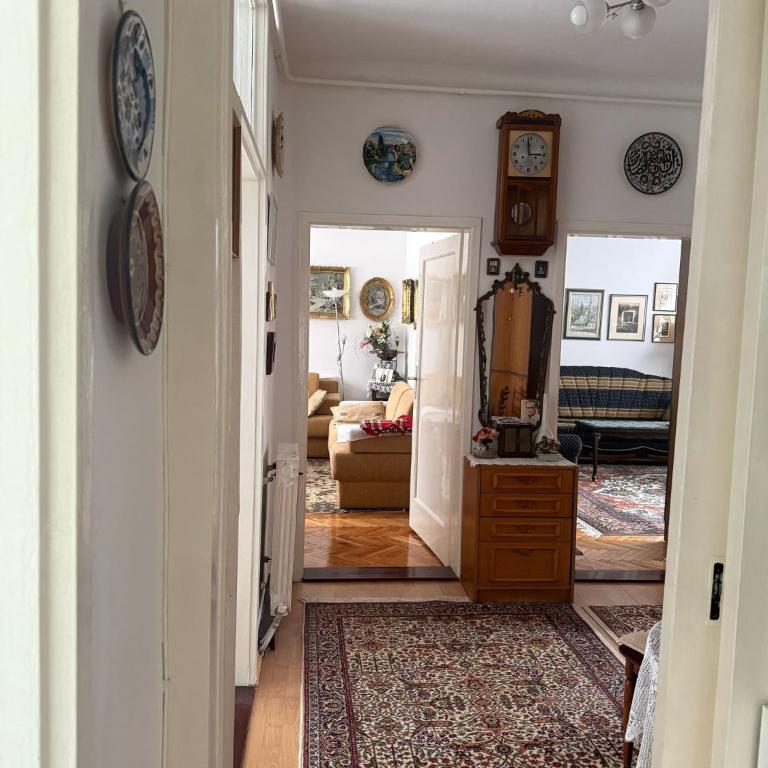 Grandma's City Center Apartment - Apartman sa 1 Spavaćom Sobom - 7