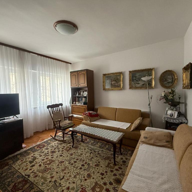 Grandma's City Center Apartment - Apartman sa 1 Spavaćom Sobom - 12