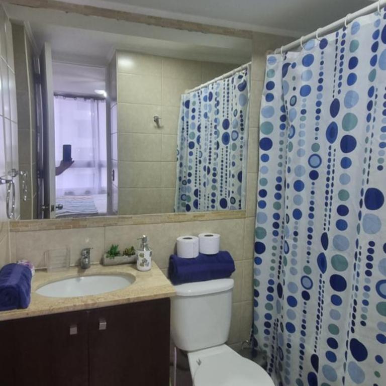 Departamento completo con Vista a la Ciudad, a pasos del Metro Santa Isabel, Barrio Italia, providencia - Apartamento de 1 dormitorio - 32