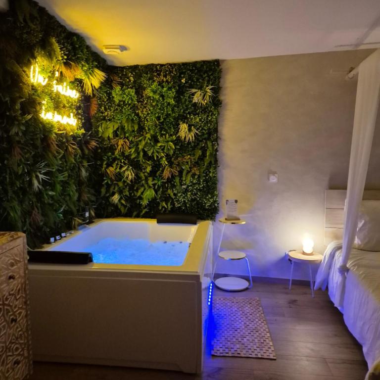 L'Eden Zen - Suite Jacuzzi, parking, clim, Netflix - Appartement 1 Chambre - 5