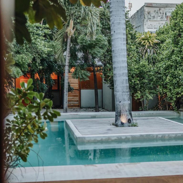 La 54/ in the hearth of downtown of Mérida - Villa Deluxe - 45