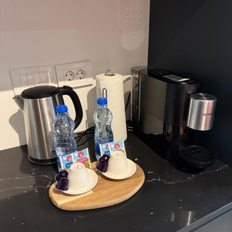 Hercules Apartment Belgrade Waterfront - Two-Bedroom Apartment with City View - 34