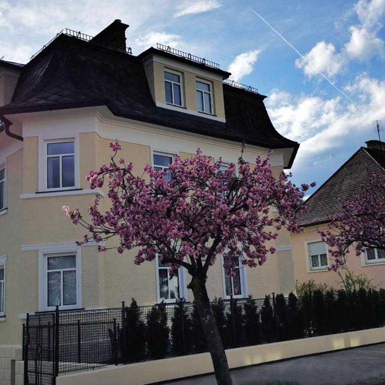 Villa Kreuzbergl - Einzelzimmer - Einzelzimmer mit Gartenblick - 1