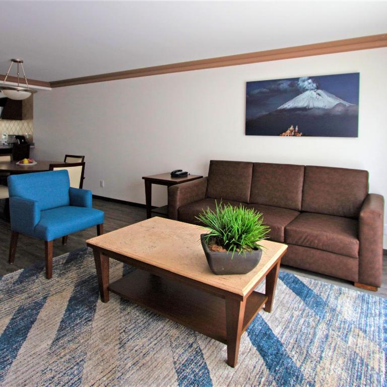 Suites Obelisk - Suite con cama extragrande - 10