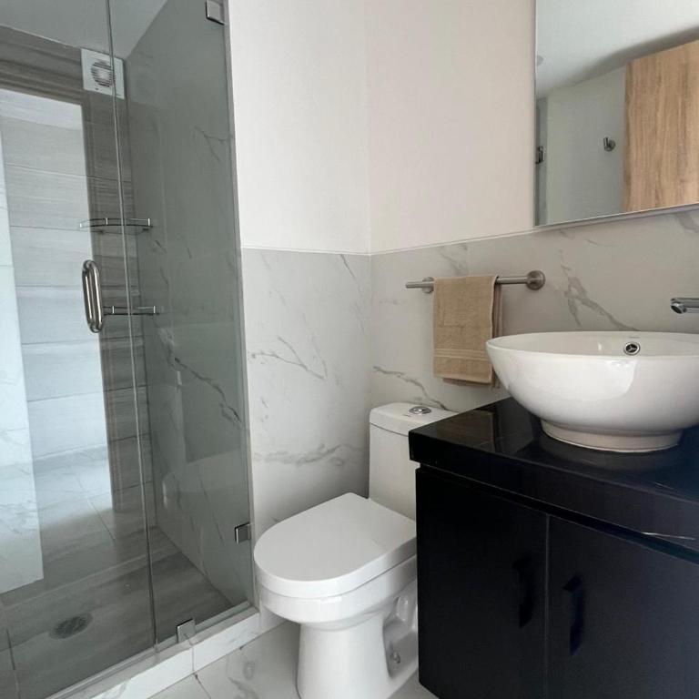Centrico Departamento enla Roma - One-Bedroom Apartment - 8
