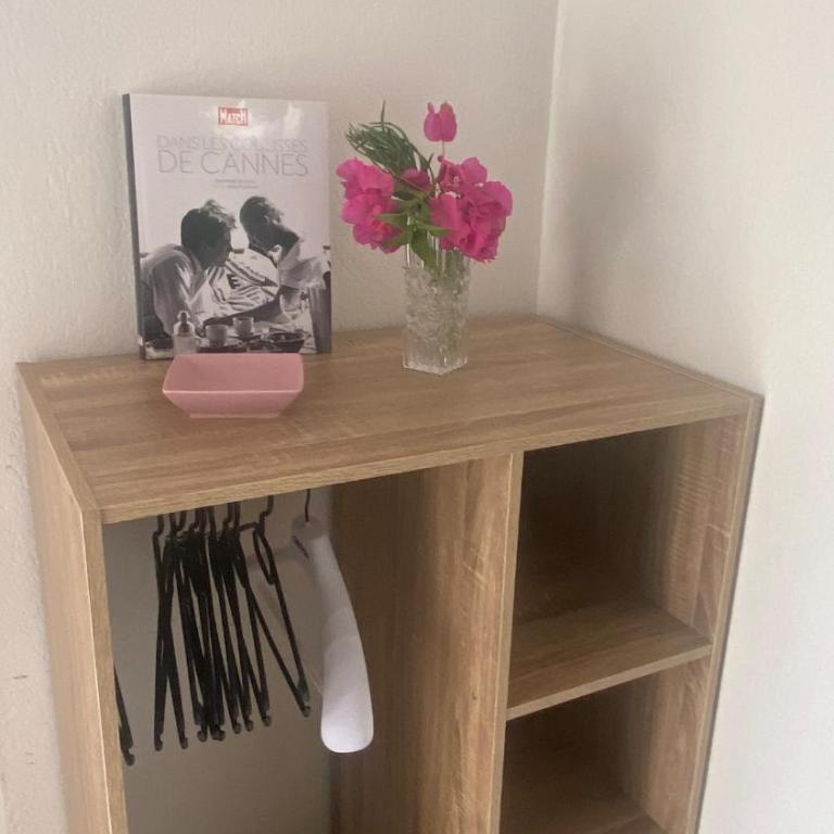 ZEN et COSY, CALME ABSOLU parking privé jardin,ideal proche de Cannes - Maison de Vacances - 9