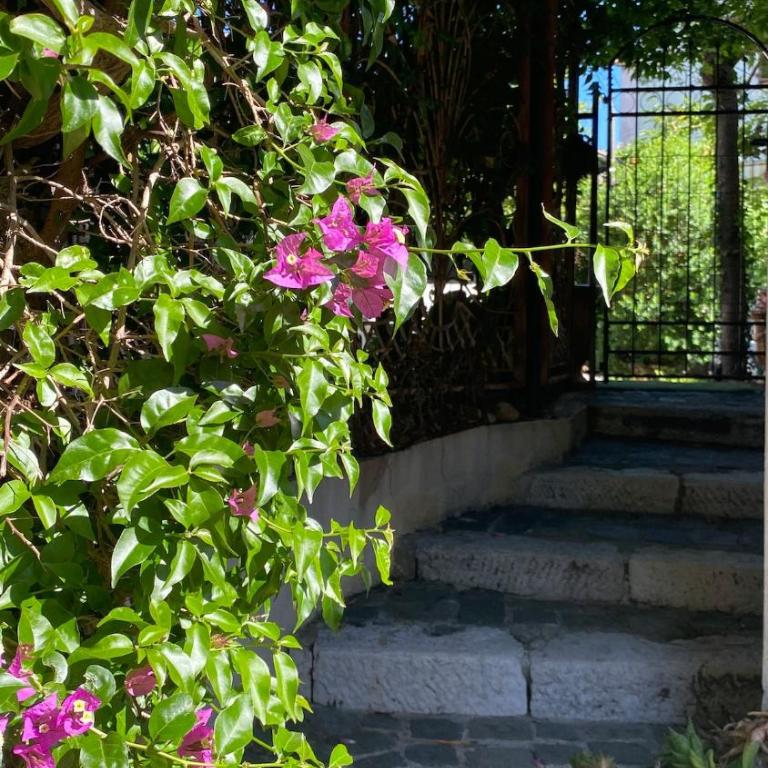 ZEN et COSY, CALME ABSOLU parking privé jardin,ideal proche de Cannes - Maison de Vacances - 6