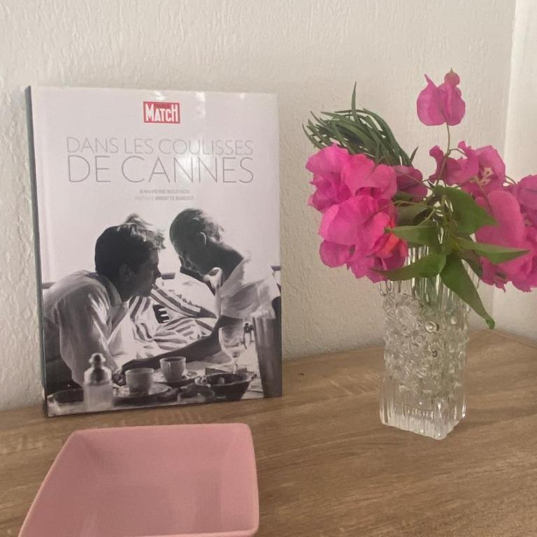 ZEN et COSY, CALME ABSOLU parking privé jardin,ideal proche de Cannes - Maison de Vacances - 4