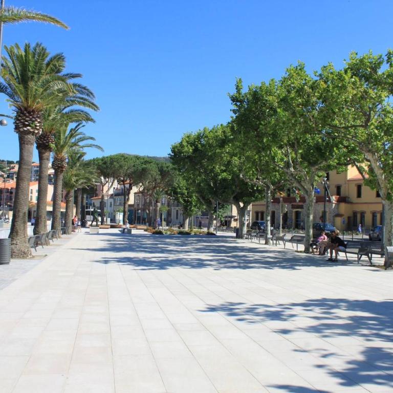 Appart 3 pièces 6 couchages BANYULS SUR MER BN100-003C - Apartamento de 2 dormitorios - 18