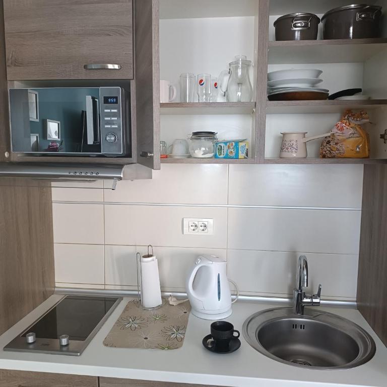 Central Park - One-Bedroom Apartment - 8