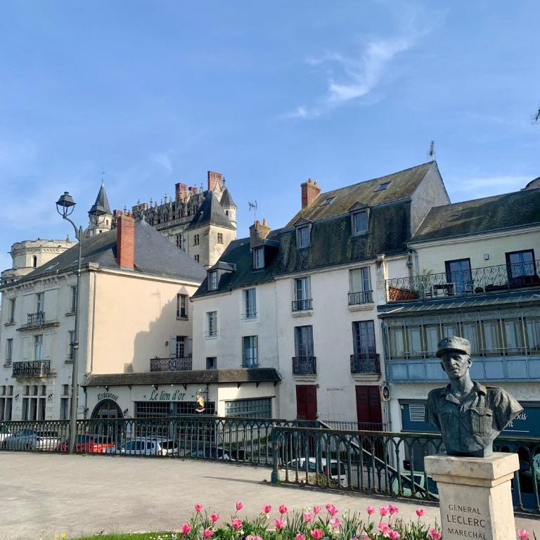 Vue incroyable Loire et Chateau - Apartment mit 2 Schlafzimmern - 42