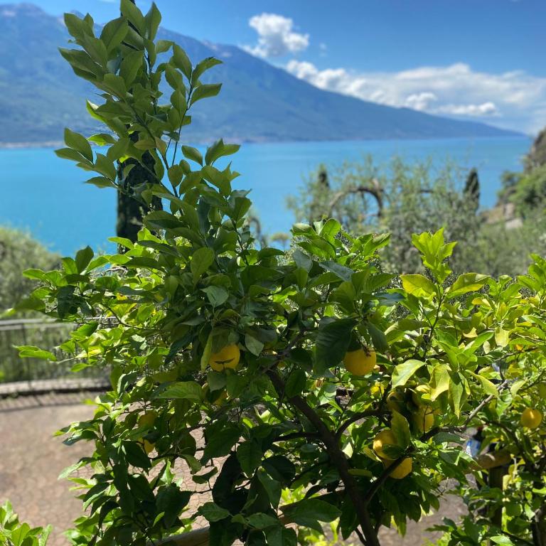 Villa Gianna 3 - Appartamento con 1 Camera da Letto - 12