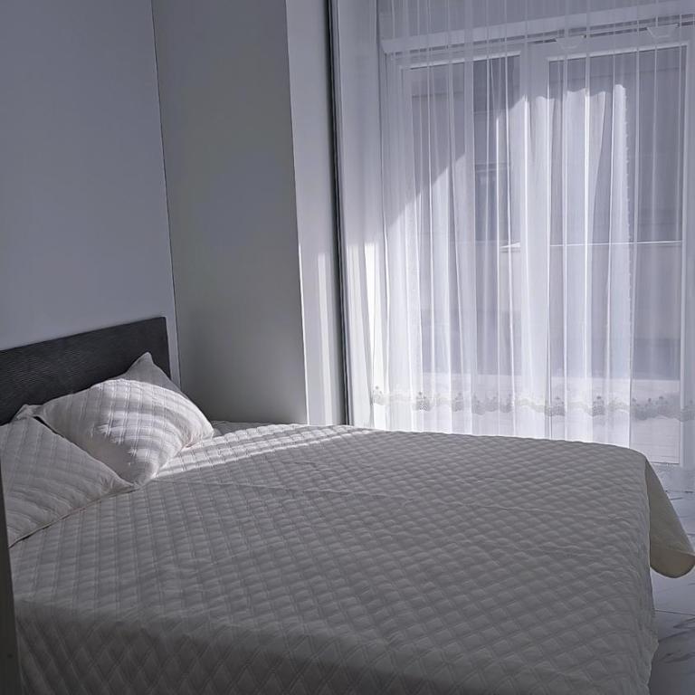 Luxury Beachfront Family Apartment - Two-Bedroom Apartment - 13