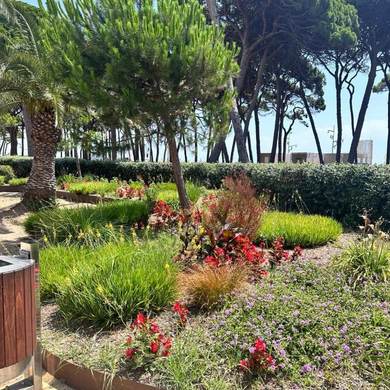 Luxury Beachfront Family Apartment - Two-Bedroom Apartment - 45
