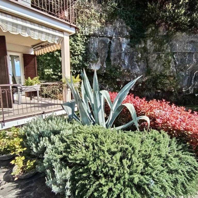 CITRUS Apartment Brenzone - Appartamento con 1 Camera da Letto - 5